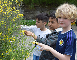  students with bee puppets pretend to pollinate flowers